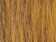 Reed Assortment, All Scales, NOCH 07060