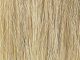 Reed Assortment, All Scales, NOCH 07060