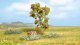 Rowan Tree with Berries, All Scales, NOCH 21650