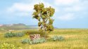 Rowan Tree with Berries, All Scales, NOCH 21650