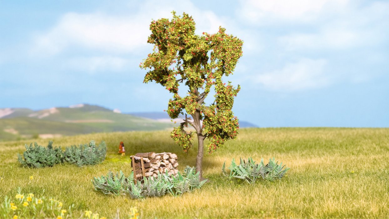 Rowan Tree with Berries, All Scales, NOCH 21650