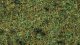 Scatter Grass “Forest Floor”, All Scales, NOCH 08350