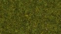Scatter Grass "Meadow", All Scales, NOCH 08361