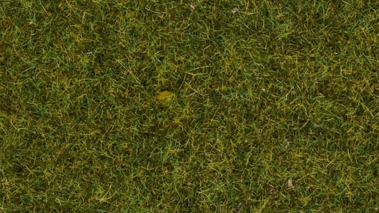 Scatter Grass "Meadow", All Scales, NOCH 08361
