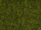 Scatter Grass “Meadow”, All Scales, NOCH 50220