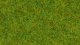 Scatter Grass “Spring Meadow”, All Scales, NOCH 08200