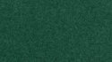 Scatter Grass, All Scales, NOCH 08321
