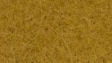 Scatter Grass, All Scales, NOCH 08362
