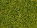 Scatter Grass, All Scales, NOCH 08363