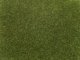 Scatter Grass, All Scales, NOCH 08364