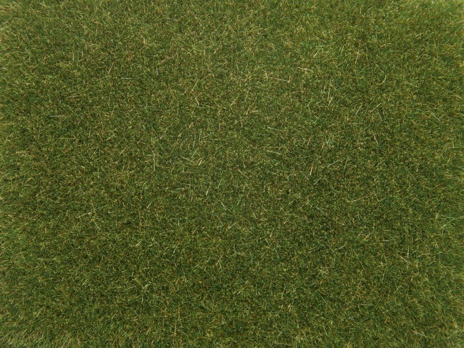 Scatter Grass, All Scales, NOCH 08364