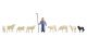 Sheep and Shepherd, N, NOCH 36748