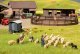 Sheep Shearing, HO, NOCH 15751