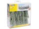 Snowy Fir Trees, All Scales, NOCH 24681
