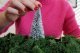 Snowy Fir Trees, All Scales, NOCH 32828