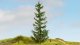 Spruce Tree, All Scales, NOCH 20191