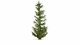 Spruce Tree, All Scales, NOCH 20191