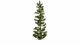 Spruce Tree, All Scales, NOCH 20192