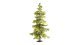 Spruce Tree, All Scales, NOCH 21816