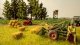 Straw Bales, HO, NOCH 07461