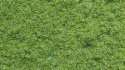 Structured Flock, All Scales, NOCH 07341