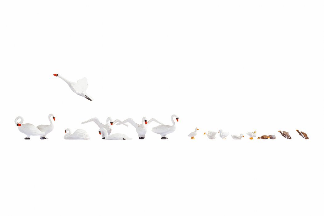 Swans and Ducks, HO, NOCH 15774