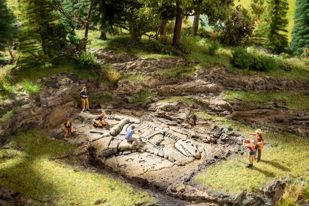T-Rex Dinosaur Excavation, All Scales, NOCH 58614