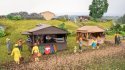 Themed Set ‘Medieval Market’, HO, NOCH 65618