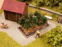 Tomato Plants, HO, NOCH 13215