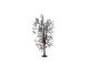 Tree Structure “Lime Tree”, All Scales, NOCH 22020