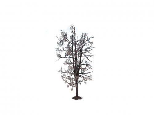 Tree Structure “Lime Tree”, All Scales, NOCH 22020