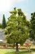 Tree with Tweeting Birds, All Scales, NOCH 21782
