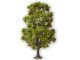 Tree with Tweeting Birds, All Scales, NOCH 21782
