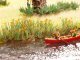 Water Lilies, HO, NOCH 14140