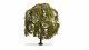 Weeping Willow, All Scales, NOCH 20115