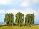 Weeping Willows, All Scales, NOCH 25130