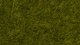 Wild Grass “Meadow”, All Scales, NOCH 07100