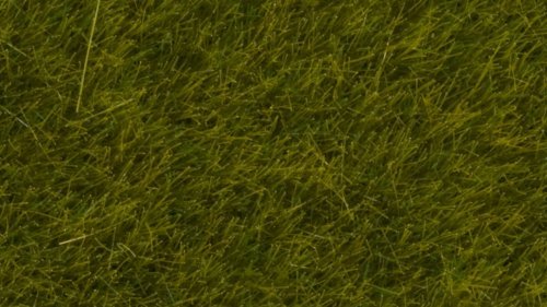 Wild Grass “Meadow”, All Scales, NOCH 07100