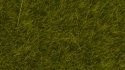 Wild Grass “Meadow”, All Scales, NOCH 07100