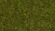 Wild Grass “Meadow”, All Scales, NOCH 07117