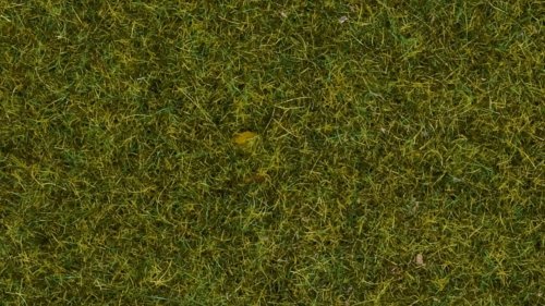Wild Grass “Meadow”, All Scales, NOCH 07117