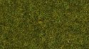 Wild Grass “Meadow”, All Scales, NOCH 07117