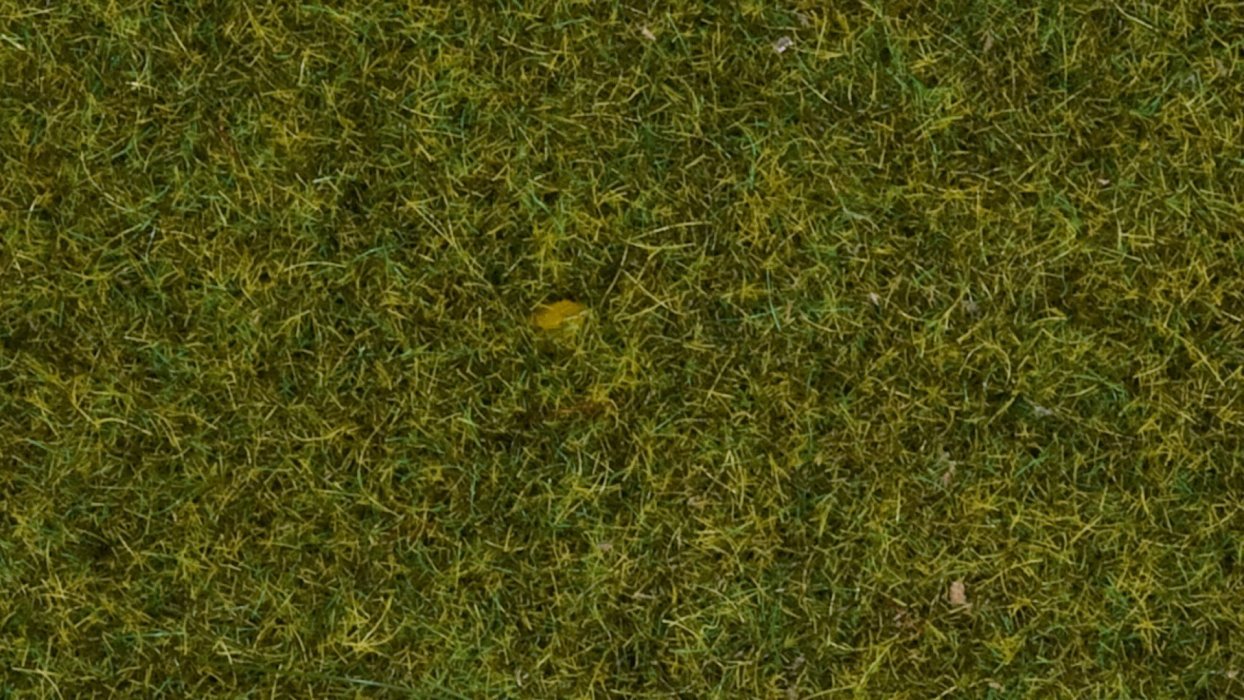 Wild Grass “Meadow”, All Scales, NOCH 07117