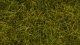 Wild Grass XL “Meadow”, All Scales, NOCH 07110