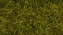 Wild Grass XL “Meadow”, All Scales, NOCH 07110