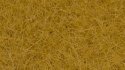 Wild Grass XL, All Scales, NOCH 07111