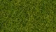 Wild Grass XL, All Scales, NOCH 07112