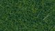Wild Grass XL, All Scales, NOCH 07116