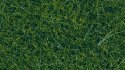 Wild Grass XL, All Scales, NOCH 07116