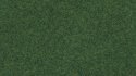 Wild Grass, All Scales, NOCH 07081